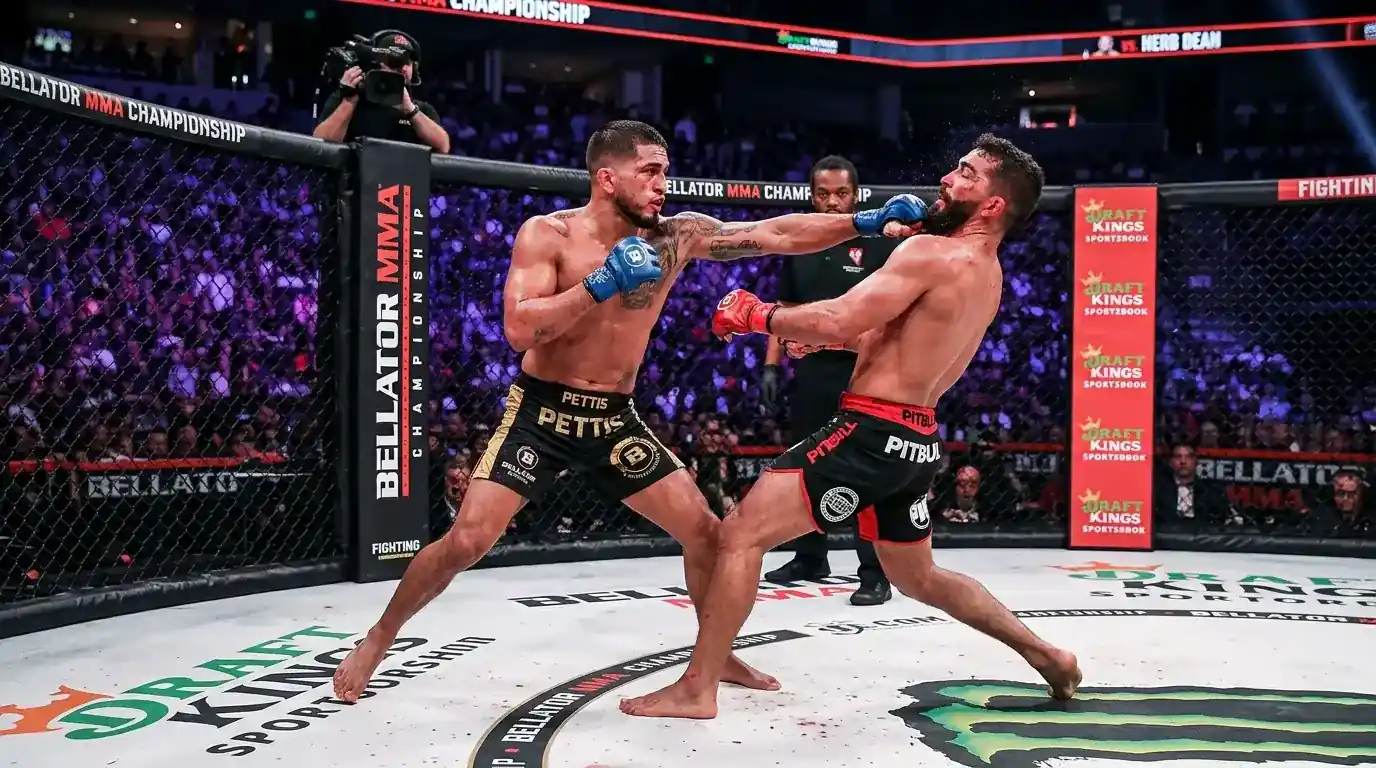 Bellator Wetten Deutschland – Buchmacher-Vergleich für Bellator und PFL MMA-Events mit Quoten und Bonus